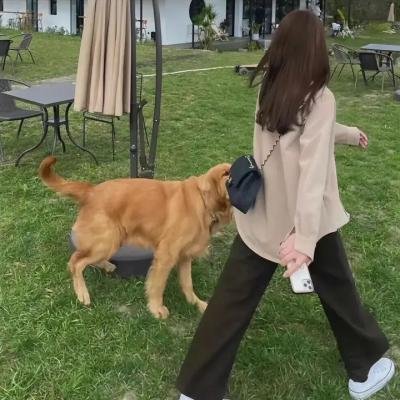 哑孩儿